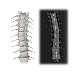 RadioMatrix
